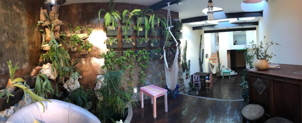 Magnolias Comfort Suites San Cristóbal de Las Casas Екстериор снимка